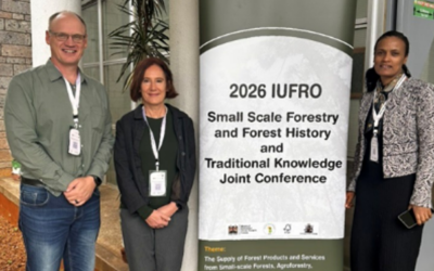 ICFR and FABI Showcase Ethiopian Forestry Research at International IUFRO Conference